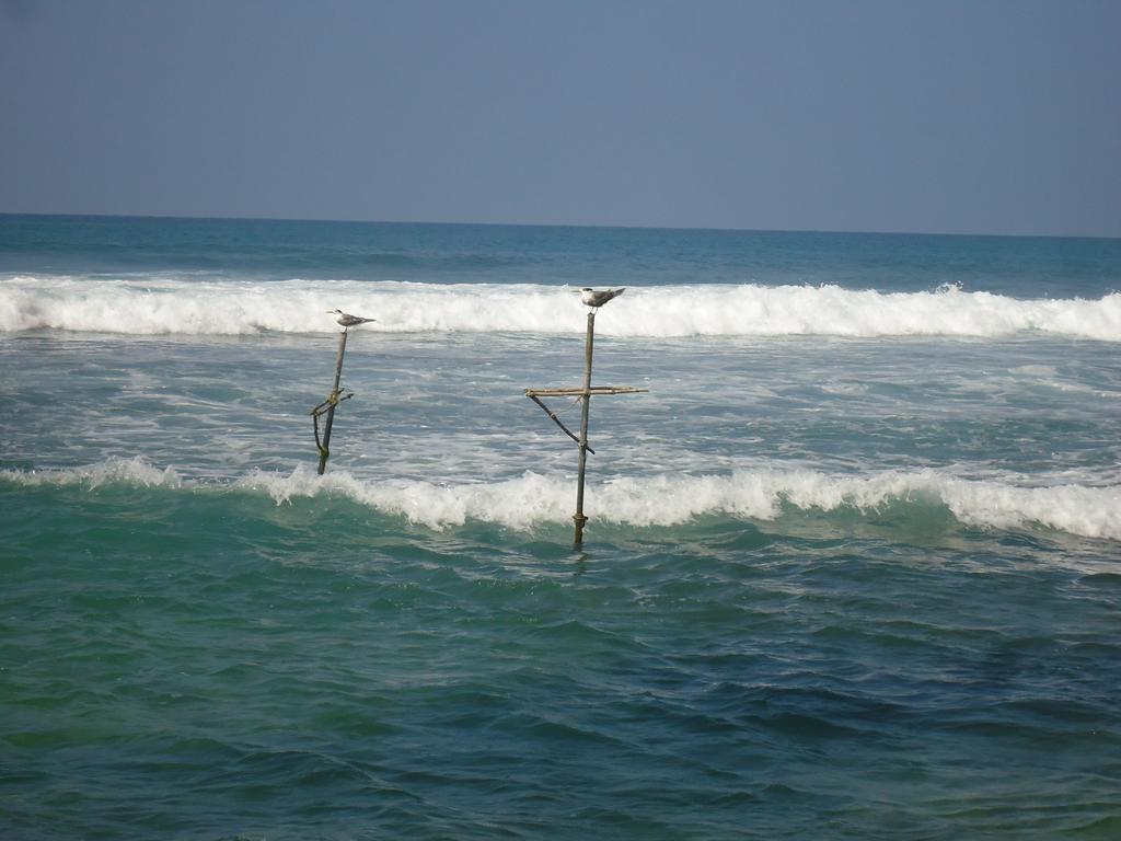 Disa Residence Galle Bagian luar foto